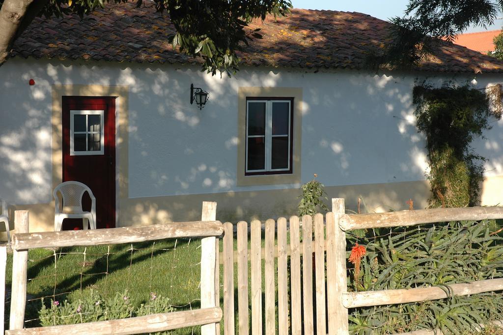 Casa Da Tia Guida Acomodação com café da manhã Golegã Exterior foto
